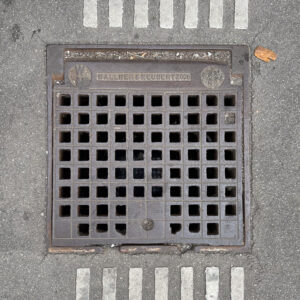 2006